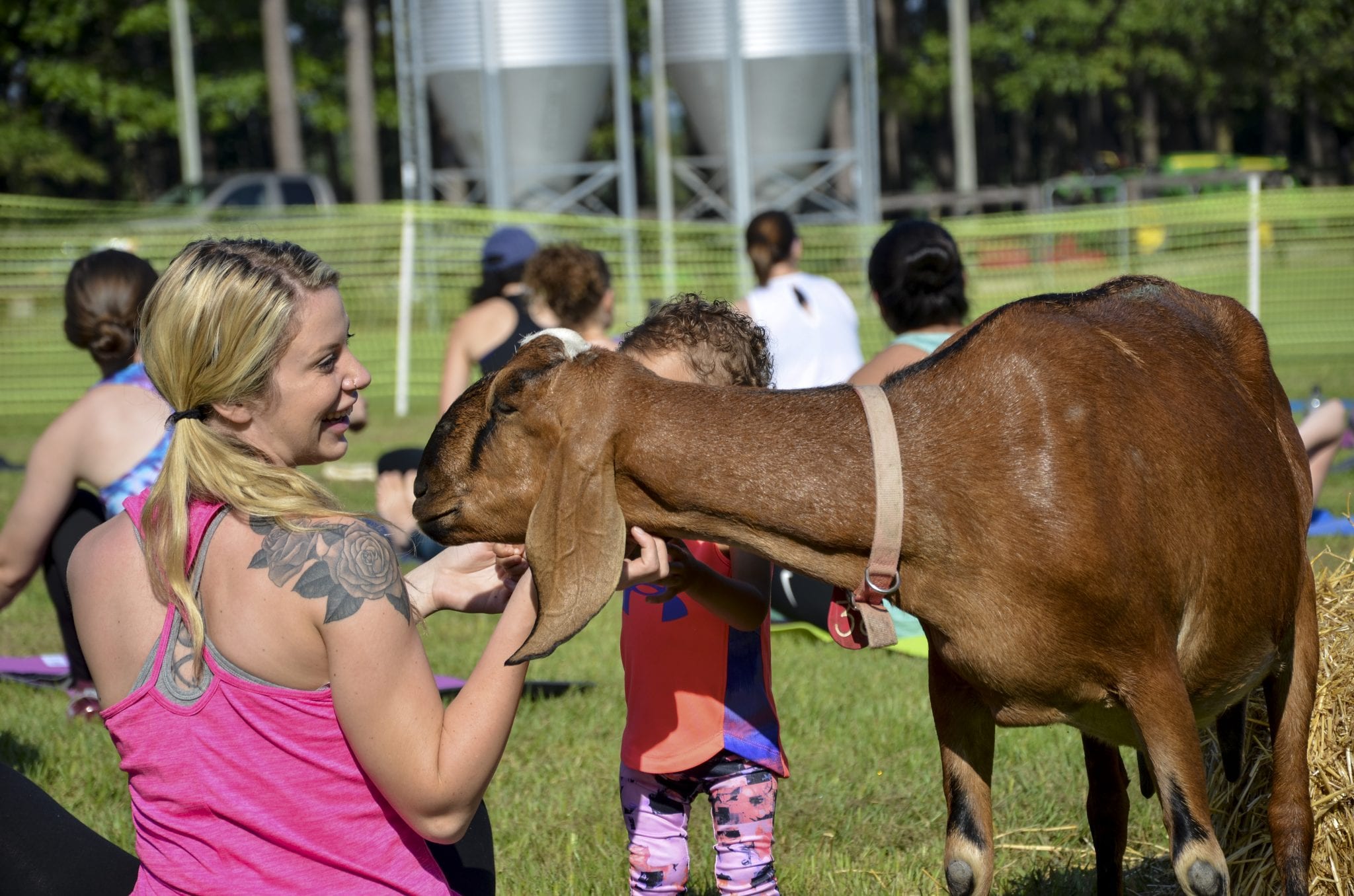 people doing yoga with goats